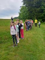 348386877_266859949254084_6356701268196340188_n (768x1024).jpg